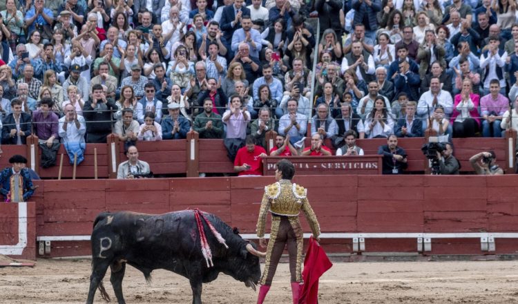 Olé: el origen de una expresión taurina única